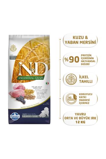 N & D Düşük Tahıllı Kuzulu Yaban Mersinli Yavru Büyük Irk Köpek Maması - 12 kg 8010276033727
